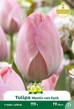 images/productimages/small/zn936.jpg