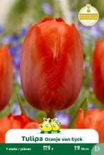 images/productimages/small/zn937.jpg