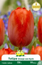 images/productimages/small/zn937w.jpg