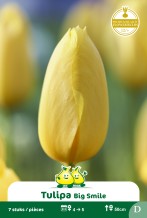 images/productimages/small/zn941.jpg