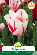 images/productimages/small/zn942.jpg