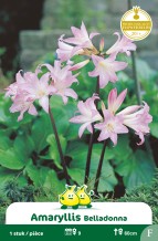 images/productimages/small/zn960w.jpg