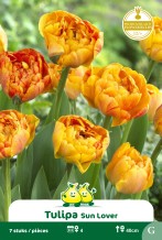images/productimages/small/zn971.jpg