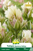 images/productimages/small/zn978w.jpg