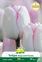 images/productimages/small/zn983.jpg