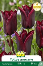 images/productimages/small/zn985w.jpg
