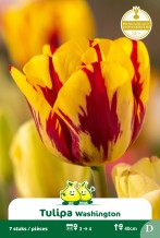 images/productimages/small/zn991.jpg