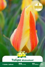 images/productimages/small/zn992.jpg