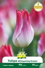 images/productimages/small/zn996.jpg