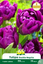 images/productimages/small/zn999.jpg