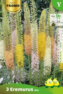 images/productimages/small/zpr189.jpg