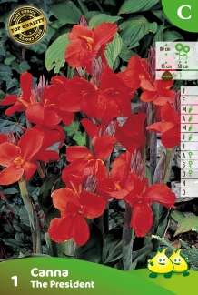 images/productimages/small/zv083.jpg