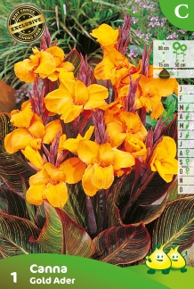 ZAKJES CANNA GOLD ADER C