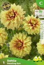 ZAKJES DAHLIA DAZZLING SUN