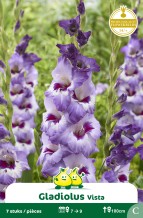 ZAKJES GLADIOLEN VISTA