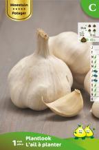 images/productimages/small/zv806.jpg