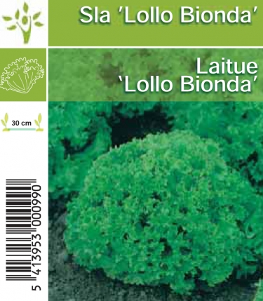 Sla Lollo Bionda (per tray 8*6)