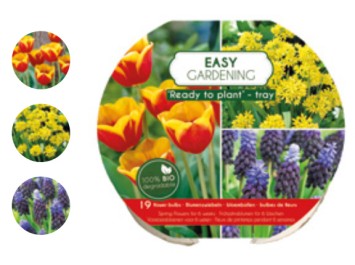 12 TRAY EASY GARDENING MIX (3*4)