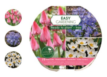 12 TRAY EASY GARDENING MIX (3*4)