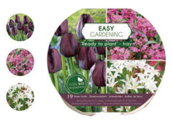 12 TRAY EASY GARDENING MIX (3*4)