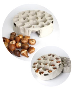 12 TRAY EASY GARDENING MIX (3*4)