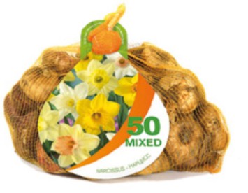 8 NETLON 50 NARCIS TROMPET MIX