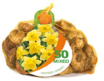 8 NETLON 50 NARCIS CARLTON