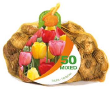 16 NETLONS 50 TULIPES DARWIN MIX