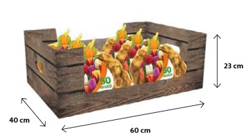 16 NETLONS 50 TULIPES TRIUMPH MIX