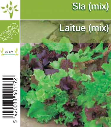 Laitue-mix par tray (8x6)