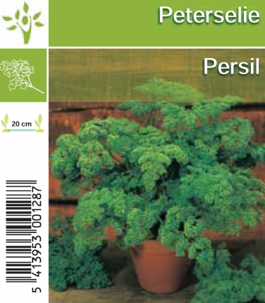 Persil tray (8x6)