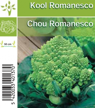 Kool romanesco per tray (8x6)