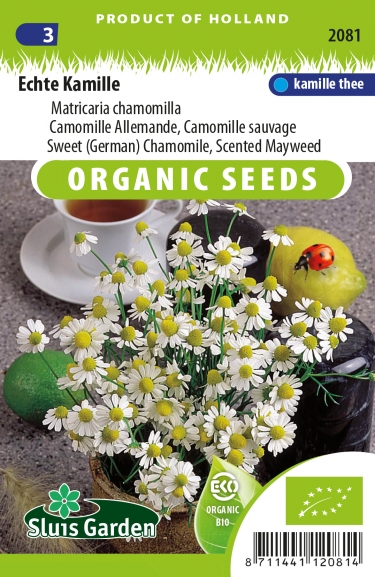 Kamille Echte (Matricaria chamomilla) BIO