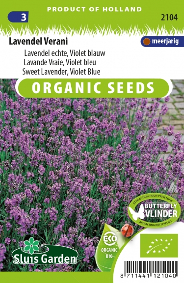 Lavendel Echte (Lavendel angustifolia) BIO