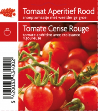 Tomate cerise (tray 12 pot)