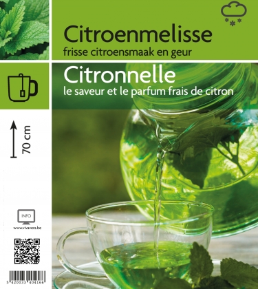 Citronnelle (tray 15 pot)