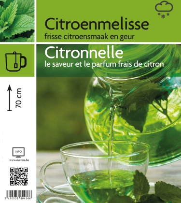 Citroenmelisse (tray 15 pot)