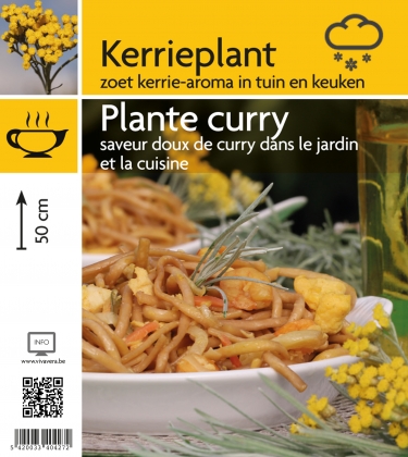 Kerrieplant (tray 15 pot)