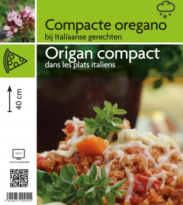 Origan compact (tray 15 pot)