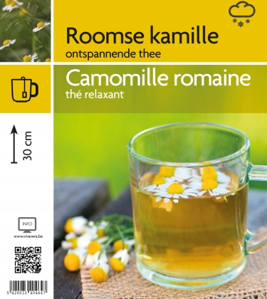 Roomse kamille (tray 15 pot)