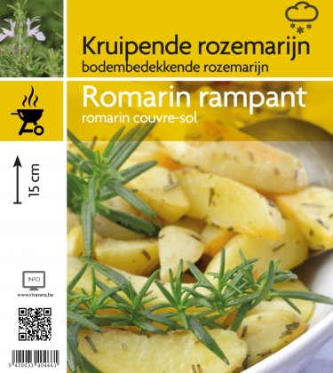 Rozemarijn kruipend (tray 15 pot)