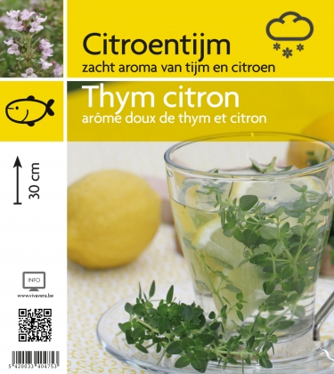 Thym citron (tray 15 pot)