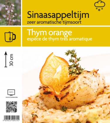 Thym orange (tray 15 pot)
