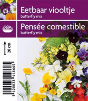 Eetbaar viooltje (tray 15 pot) 