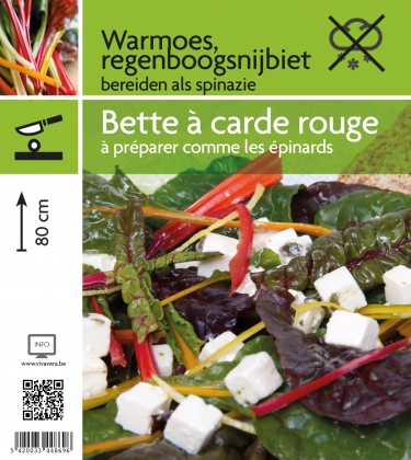 Warmoes, regenboogsnijbiet (tray 15 pot)