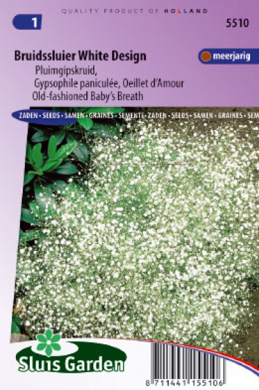 Gypsophila paniculata White design
