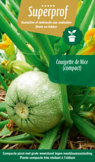 Courgette de Nice (tray 8 pot)