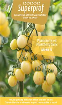 Tomate Plumcherry Blanche (tray 8 pot) 