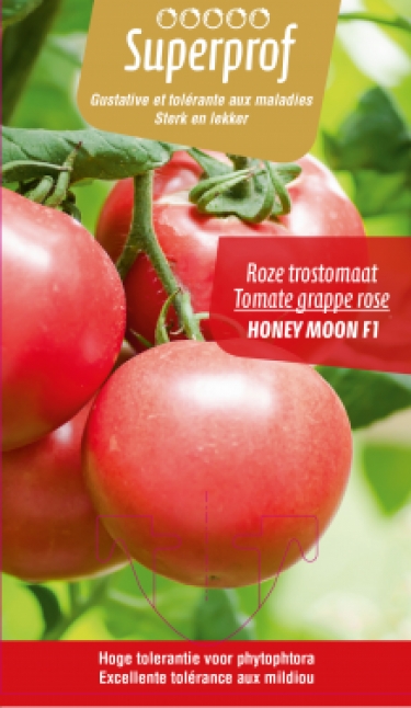 Tomate grappe rose (tray 8 pot)