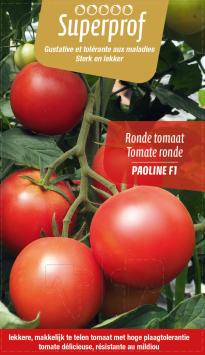 tomaat Paoline F1 (tray 8 pot)